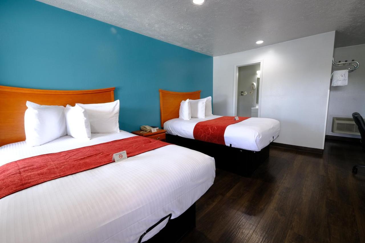 M Star Hotel Серсі Екстер'єр фото
