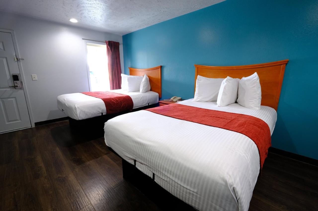 M Star Hotel Серсі Екстер'єр фото
