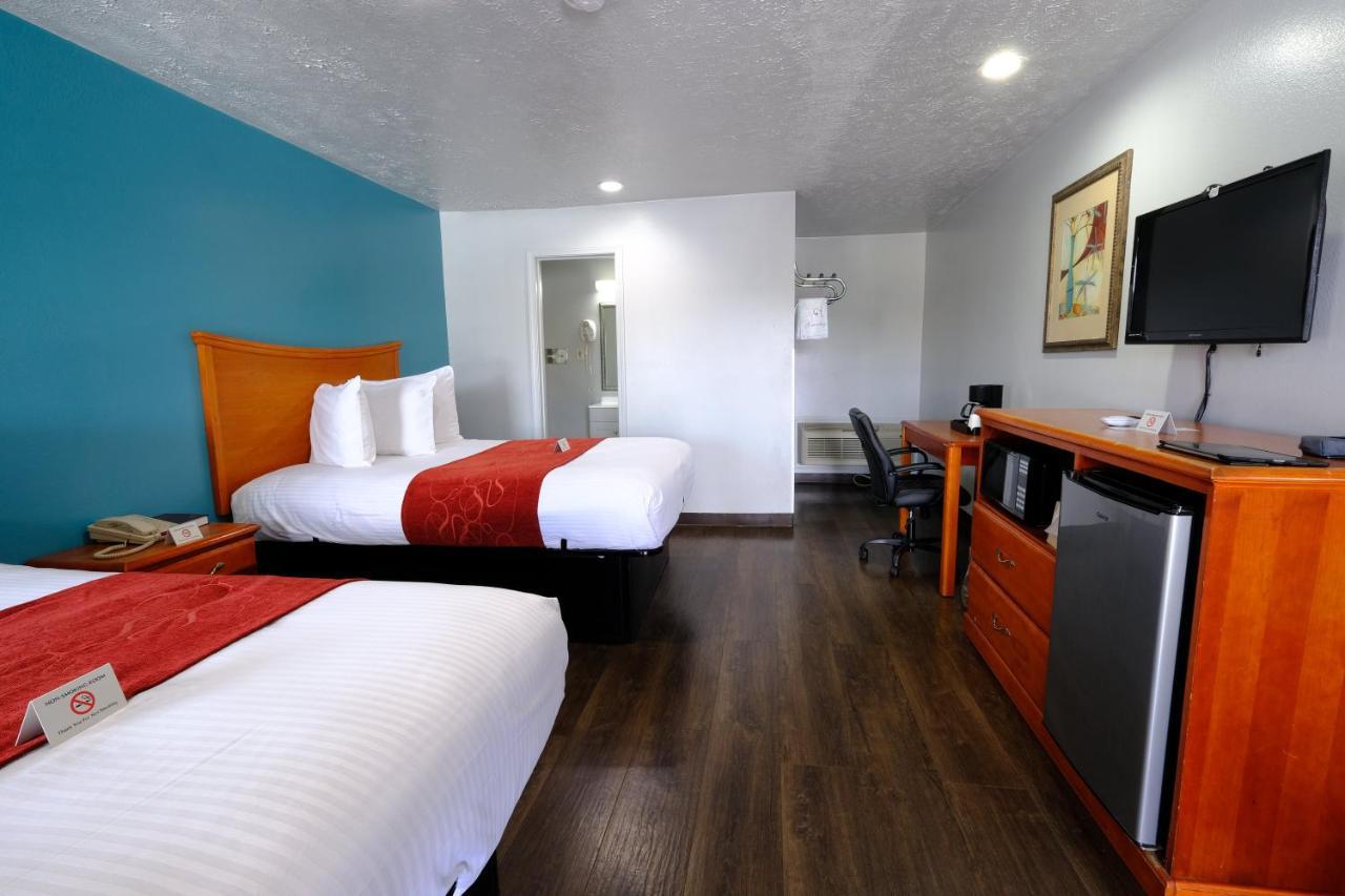 M Star Hotel Серсі Екстер'єр фото